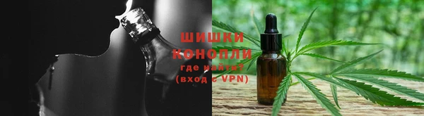 шишки Волосово