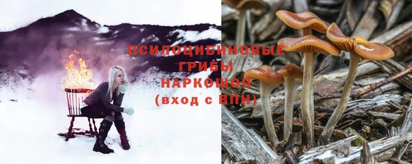 шишки Волосово