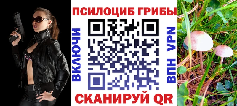 kraken маркетплейс  Вихоревка  Псилоцибиновые грибы мухоморы 